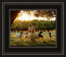 Load image into Gallery viewer, Tending the Flock