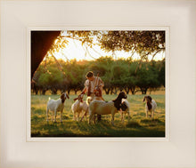 Load image into Gallery viewer, Tending the Flock
