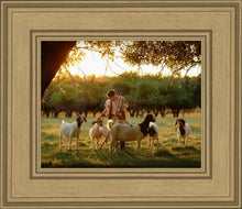 Load image into Gallery viewer, Tending the Flock