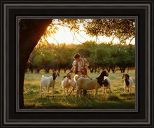 Load image into Gallery viewer, Tending the Flock