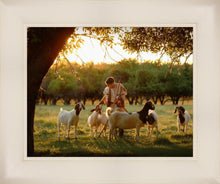 Load image into Gallery viewer, Tending the Flock