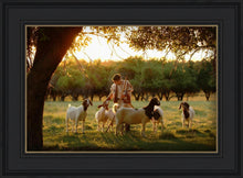 Load image into Gallery viewer, Tending the Flock