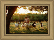 Load image into Gallery viewer, Tending the Flock