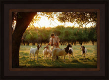 Load image into Gallery viewer, Tending the Flock