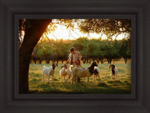 Load image into Gallery viewer, Tending the Flock