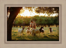 Load image into Gallery viewer, Tending the Flock