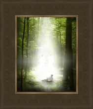 Load image into Gallery viewer, Oh How Lovely Was The Morning