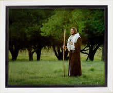 Load image into Gallery viewer, Lord Of The Vineyard