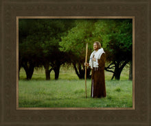 Load image into Gallery viewer, Lord Of The Vineyard