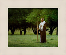 Load image into Gallery viewer, Lord Of The Vineyard