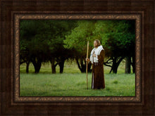 Load image into Gallery viewer, Lord Of The Vineyard