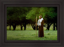 Load image into Gallery viewer, Lord Of The Vineyard