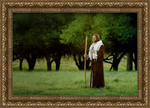 Load image into Gallery viewer, Lord Of The Vineyard