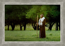 Load image into Gallery viewer, Lord Of The Vineyard