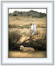 Load image into Gallery viewer, He Will Find Me