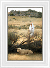 Load image into Gallery viewer, He Will Find Me