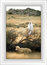 Load image into Gallery viewer, He Will Find Me