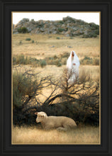 Load image into Gallery viewer, He Will Find Me