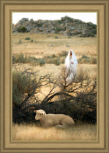 Load image into Gallery viewer, He Will Find Me