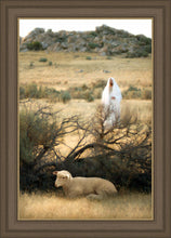 Load image into Gallery viewer, He Will Find Me