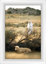 Load image into Gallery viewer, He Will Find Me