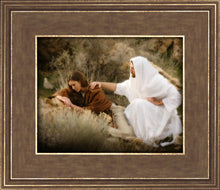 Load image into Gallery viewer, The Comforter