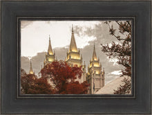 Load image into Gallery viewer, Salt Lake Temple 05