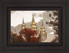 Load image into Gallery viewer, Salt Lake Temple 05