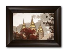 Load image into Gallery viewer, Salt Lake Temple 05
