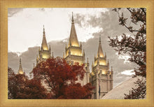 Load image into Gallery viewer, Salt Lake Temple 05