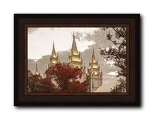 Load image into Gallery viewer, Salt Lake Temple 05