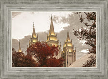Load image into Gallery viewer, Salt Lake Temple 05