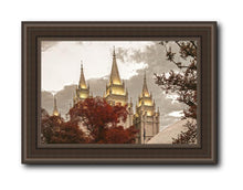 Load image into Gallery viewer, Salt Lake Temple 05