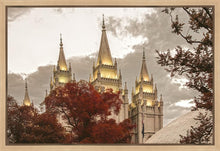 Load image into Gallery viewer, Salt Lake Temple 05