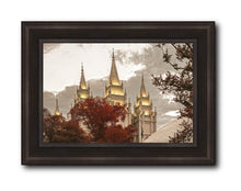 Load image into Gallery viewer, Salt Lake Temple 05