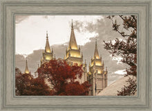 Load image into Gallery viewer, Salt Lake Temple 05
