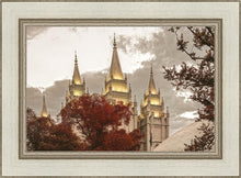 Load image into Gallery viewer, Salt Lake Temple 05