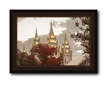 Load image into Gallery viewer, Salt Lake Temple 05