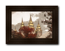Load image into Gallery viewer, Salt Lake Temple 05