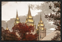 Load image into Gallery viewer, Salt Lake Temple 05