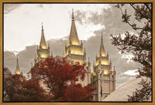 Load image into Gallery viewer, Salt Lake Temple 05