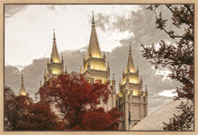 Load image into Gallery viewer, Salt Lake Temple 05