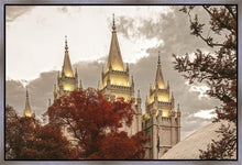 Load image into Gallery viewer, Salt Lake Temple 05