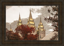 Load image into Gallery viewer, Salt Lake Temple 05