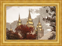 Load image into Gallery viewer, Salt Lake Temple 05
