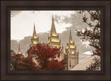 Load image into Gallery viewer, Salt Lake Temple 05