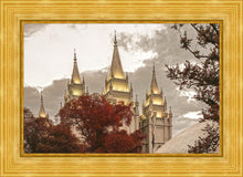 Load image into Gallery viewer, Salt Lake Temple 05