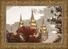 Load image into Gallery viewer, Salt Lake Temple 05