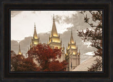 Load image into Gallery viewer, Salt Lake Temple 05