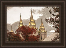 Load image into Gallery viewer, Salt Lake Temple 05